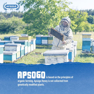 APSOGO Organic Thyme Honey - Pure Wilderness Honey from Greece, Crete - Strong Taste & Golden Colour (400g)