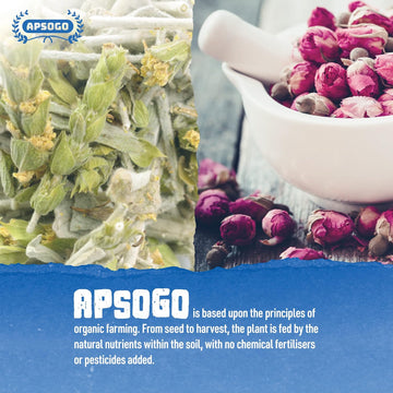 APSOGO Organic Mountain Tea with Rose - Herbal Infused Tea - Premium Quality & Excellent Taste - Produced in Greece - 50g