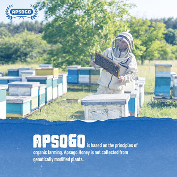 APSOGO Organic Thyme Honey - Pure Wilderness Honey from Greece, Crete - Strong Taste & Golden Colour (400g)