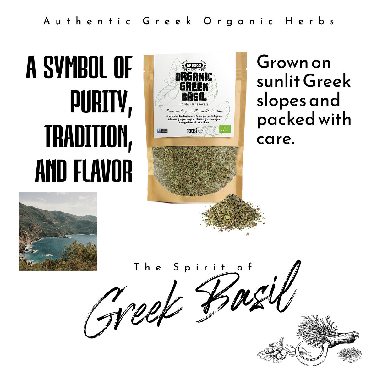 Apsogo Basil - Dried Organic Basil from Greece - Premium Quality & Aromatic Flavor, Perfect as a Spice or Herbal Tea (100g)