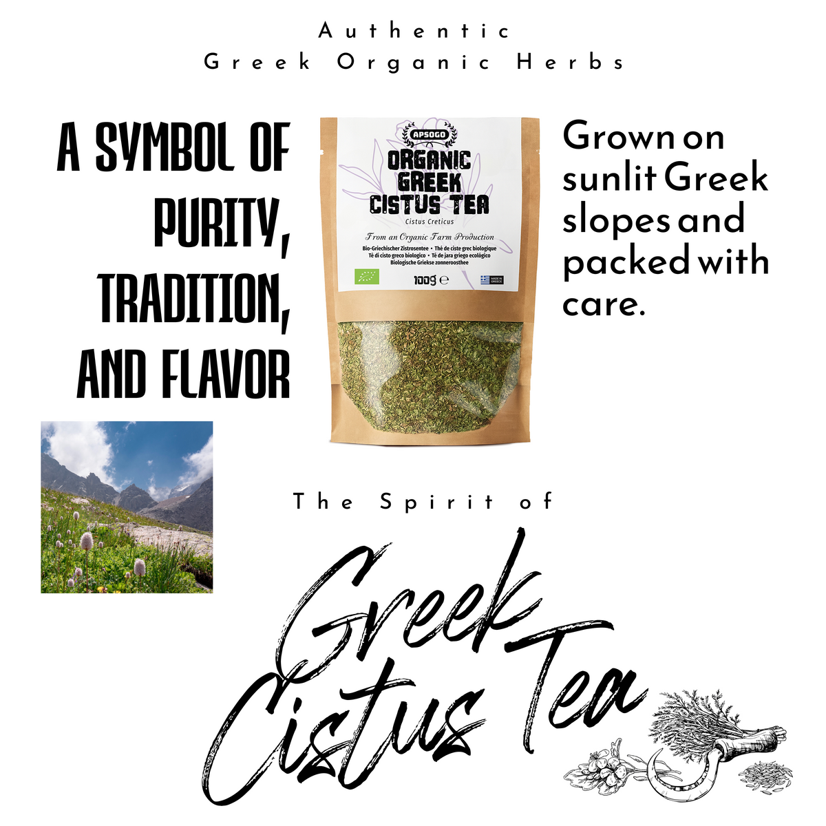 APSOGO Greek Organic Cistus Tea - Cistus Herb Premium Quality & Excellent Taste - Cistus Tea produced in Greece (100g)