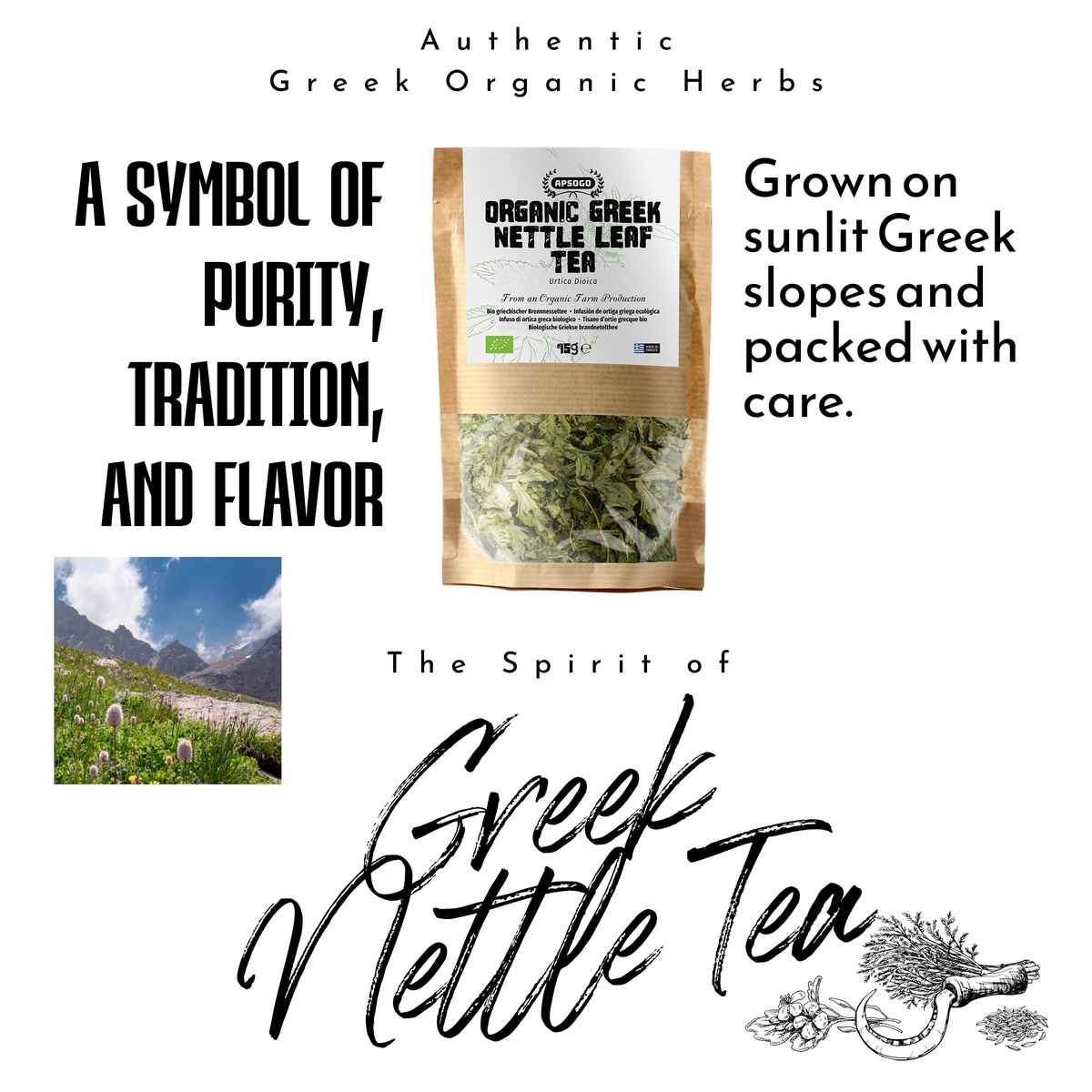 APSOGO Organic Greek Nettle Tea - Loose Leaf Herbal Infusion - Urtica Dioica - Detox & Wellness Support - Eco Pouch - 75g