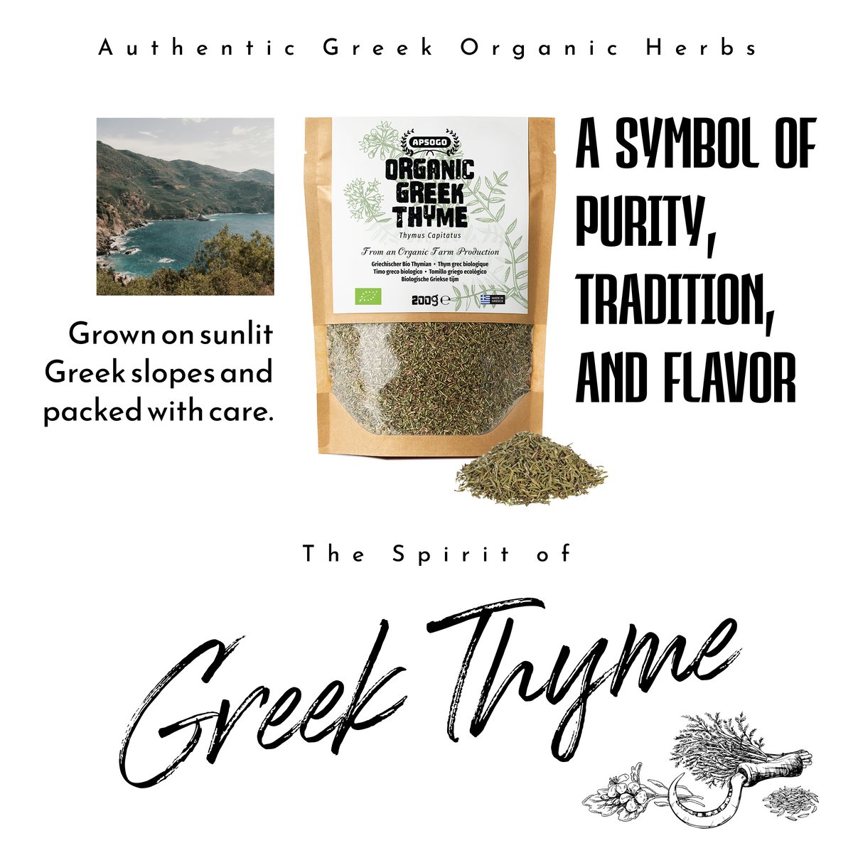 Apsogo Thyme - Dried Organic Thyme from Greece - Premium Quality & Excellent Taste - Use as a Spice or Thyme Tea (200g)