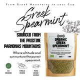 Apsogo Spearmint - Getrocknete Bio-Spearmint aus Griechenland - Premium-Qualität &amp; erfrischendes Aroma, perfekt als Gewürz- oder Kräutertee (100 g) 