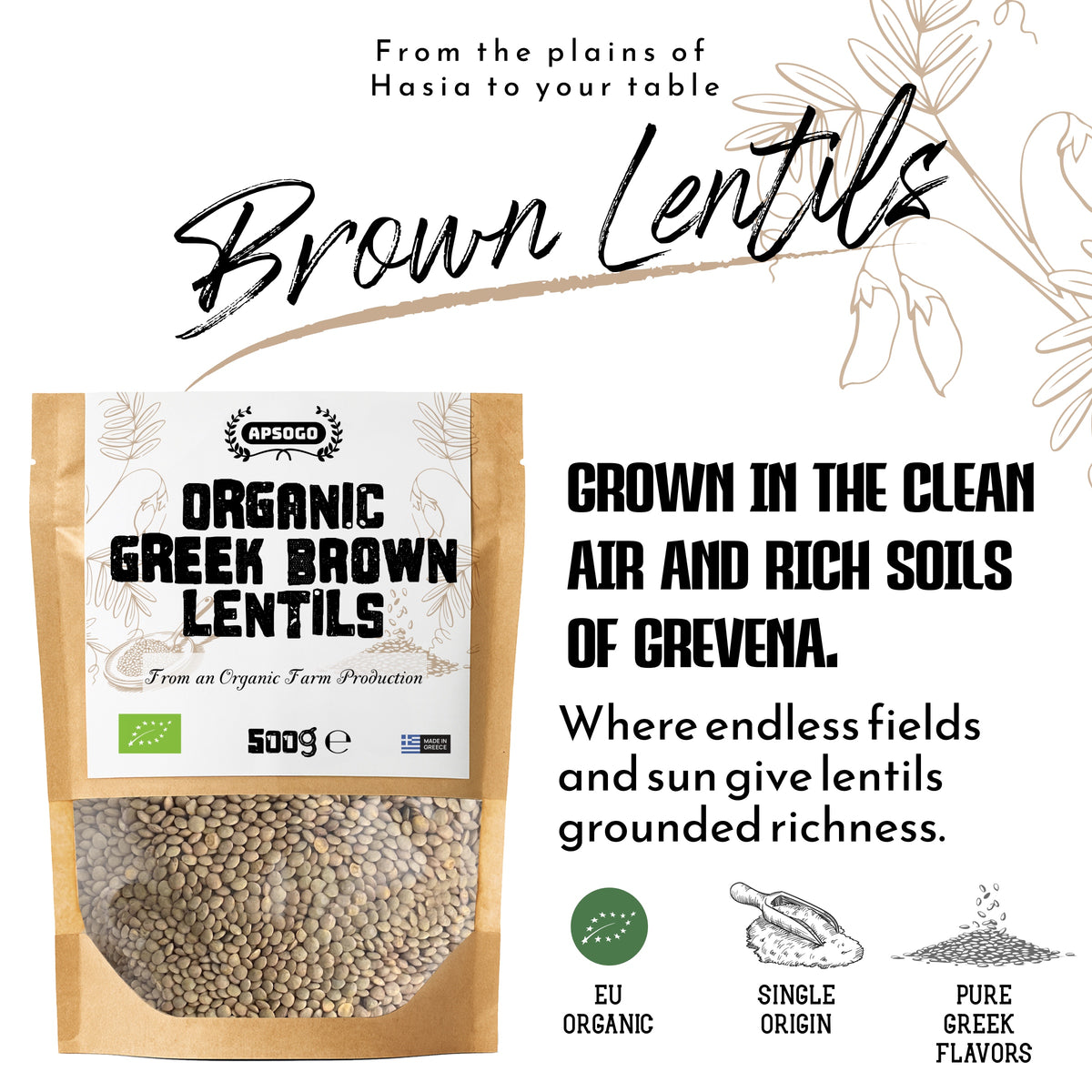 APSOGO Organic Greek Brown Lentils, product image 2
