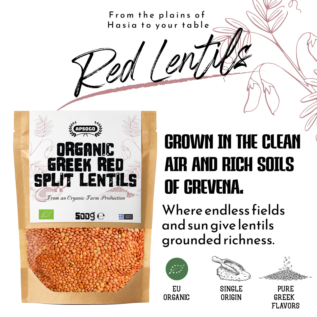 APSOGO Organic Greek Red Split Lentils, product image 5