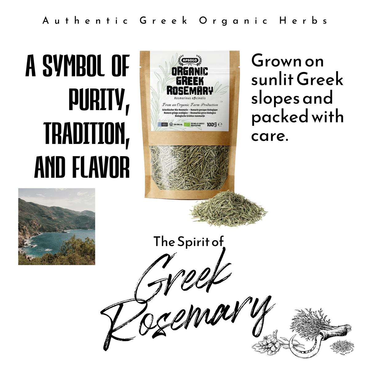 Apsogo Rosemary - Dried Organic Rosemary produced in Greece - Aromatic Flavor, Premium Quality Herb & Excellent Taste (100g)