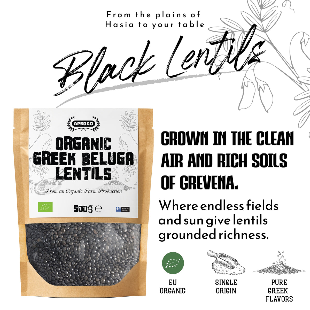 APSOGO Organic Greek Beluga Lentils, product image 5