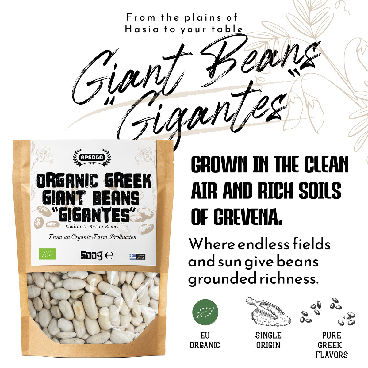 APSOGO Organic Greek Giant Beans (Gigantes), product image 5