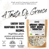 APSOGO Organic Greek Giant Beans (Gigantes), product image 3