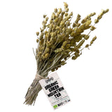 Apsogo Organic Greek Mountain Tea Bunches - Sideritis Herb, 50g