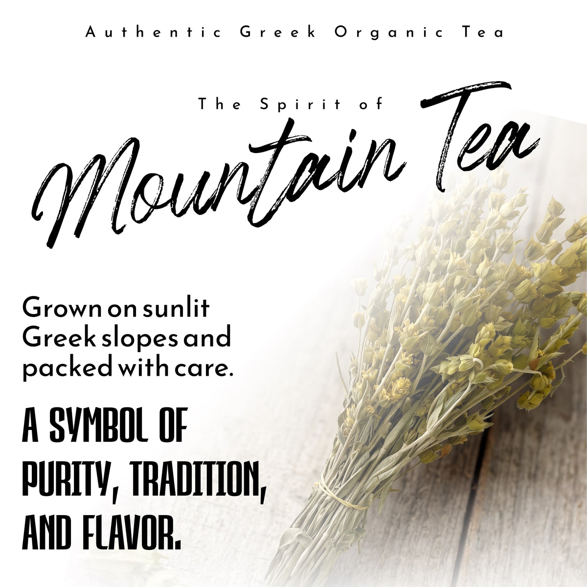 Apsogo Organic Greek Mountain Tea Bunches - Sideritis Herb, 50g