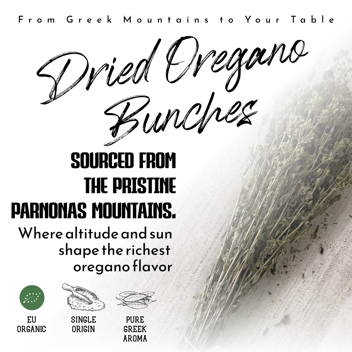 Apsogo Organic Greek Oregano Bunches - Dried on the Stem, 50g