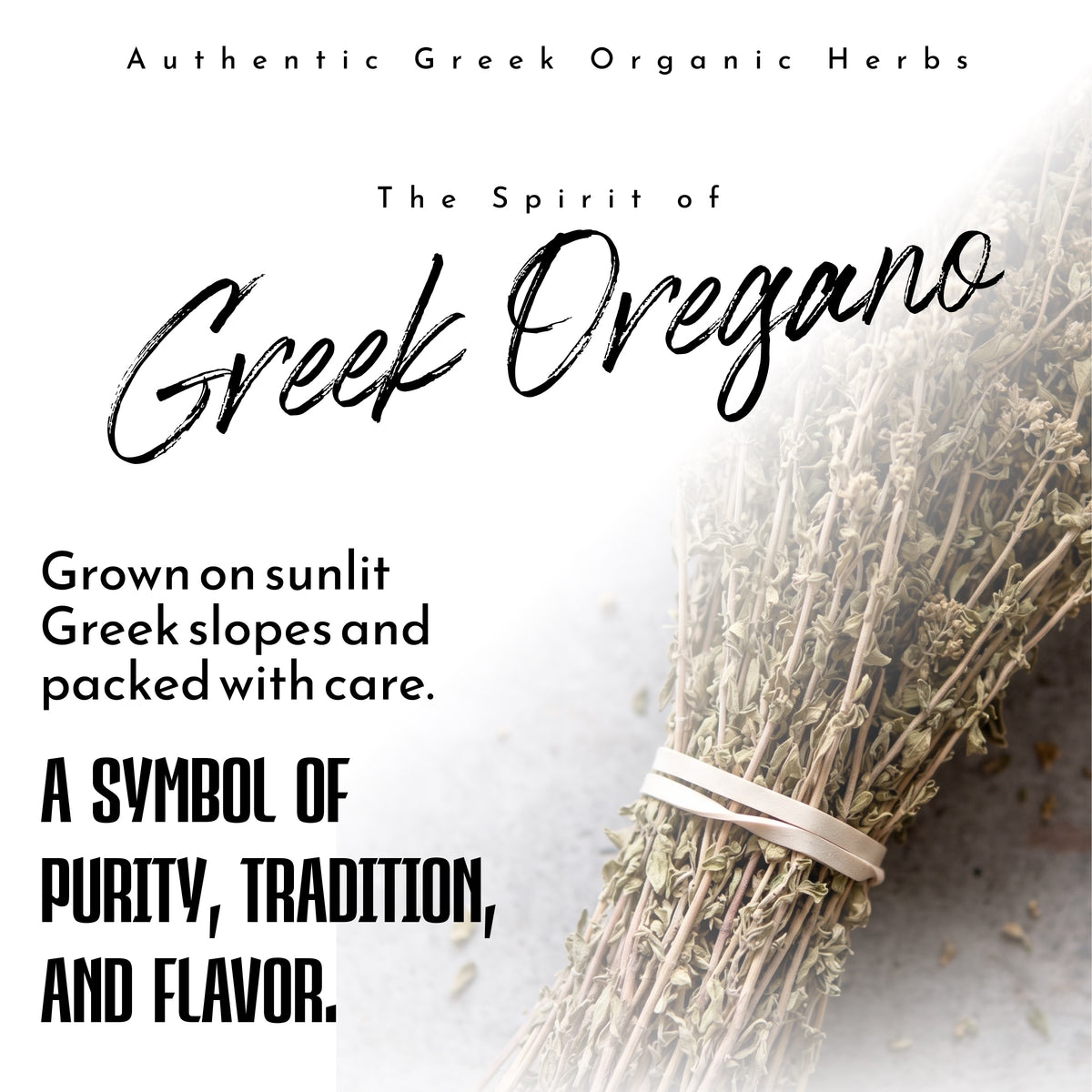 Apsogo Organic Greek Oregano Bunches - Dried on the Stem, 50g