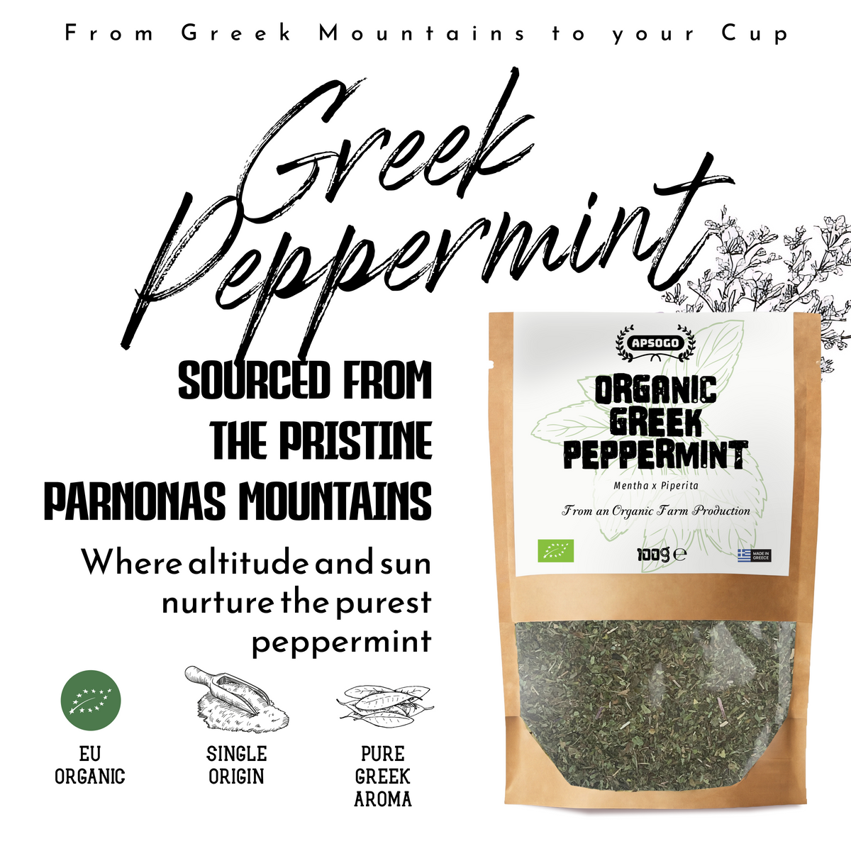 APSOGO Bio-Pfefferminztee aus Griechenland – ganze lose Pfefferminzblätter getrocknet – aromatisch & erfrischend – Premium Kräutertee ohne Zusätze (100g)