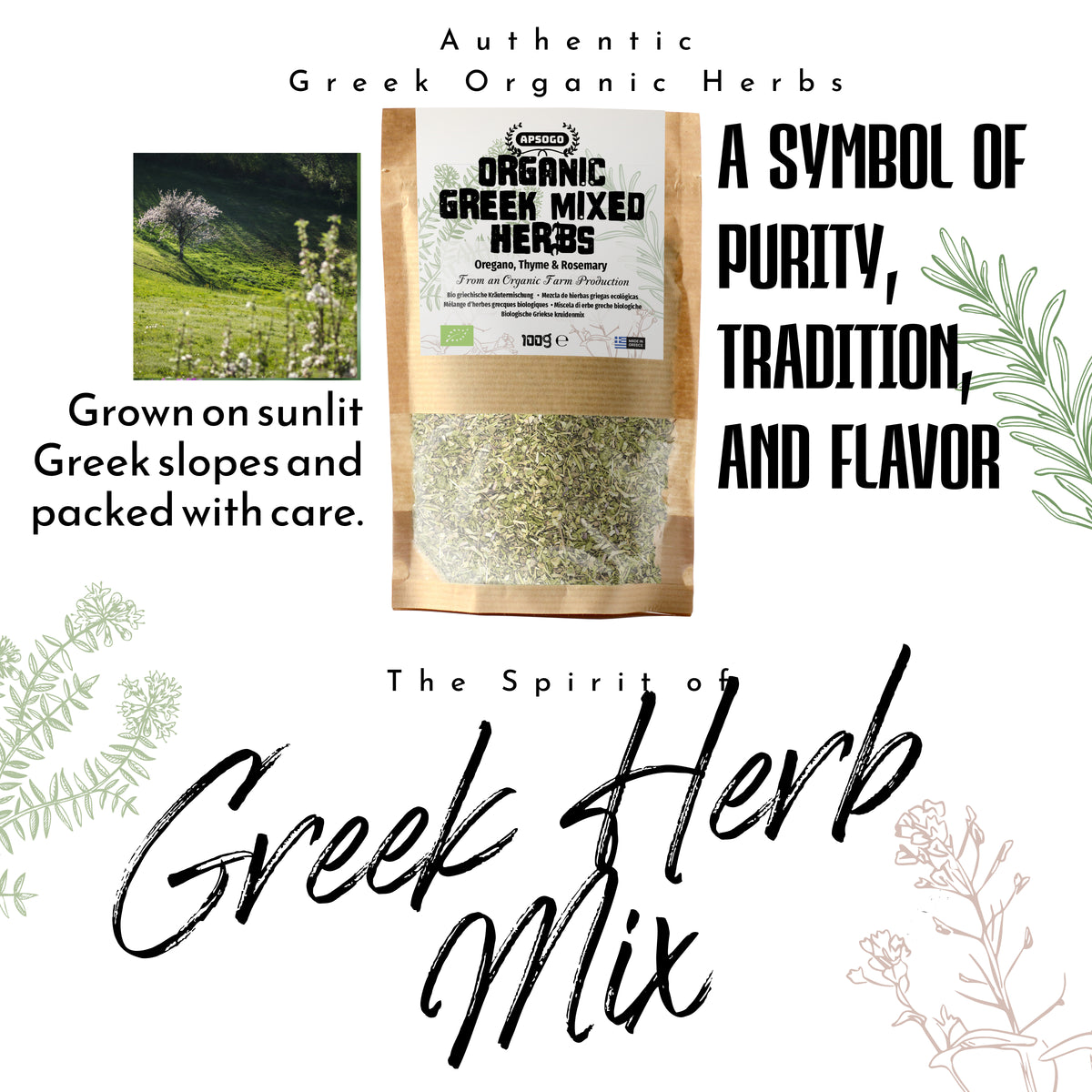 Apsogo Greek Herb Mix with Oregano, Thyme & Rosemary - Organic Quality from Greece - BBQ mix for grilling for meat and fish (100g)