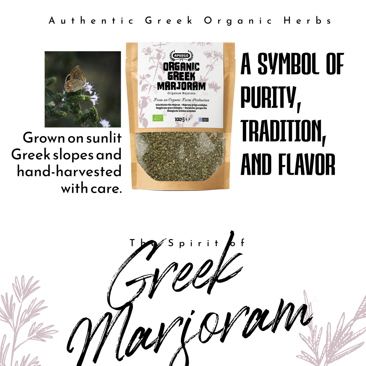 APSOGO Bio-Majoran-Kräutertee – Premium Griechischer Loser Majoran (100g) Natürlicher Bio-Kräutertee, Aromatischer mediterraner Kräuteraufguss