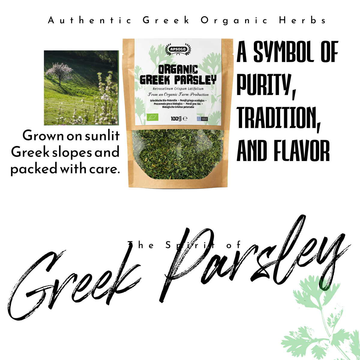 Apsogo Organic Dried Parsley (100g) - Premium Greek Parsley Loose Cut - Fresh Herbal Aroma & Vibrant Green Colour - Eco-Friendly Resealable Pouch - Natural Culinary Herb
