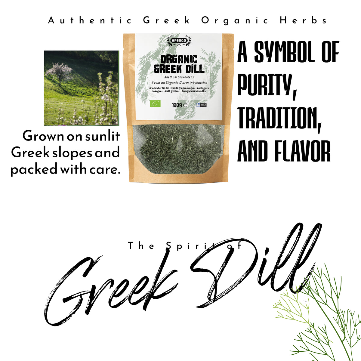 Apsogo Organic Dried Dill (100g) - Premium Greek Dill - Fresh Herbal Aroma & Delicate Sweet Flavour - Eco-Friendly Resealable Pouch - Natural Culinary Herb